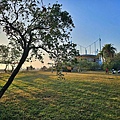 batch_778815_0.jpg
