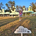 batch_778827_0.jpg