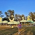 batch_778818_0.jpg