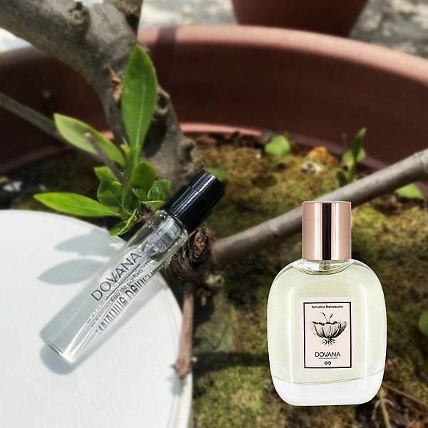 DOVANA.jpg DOVANA.jpg