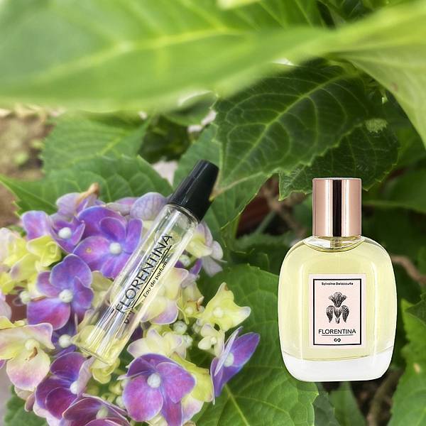 Florentina.jpg Florentina.jpg