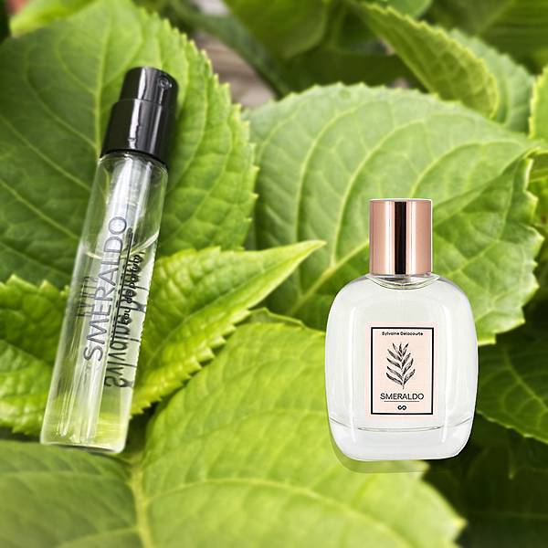 Smeraldo.jpg Smeraldo.jpg