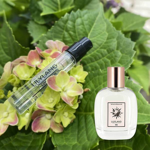 Lilylaing.jpg Lilylaing.jpg