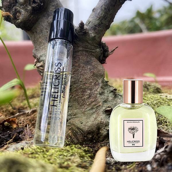 Helicriss.jpg Helicriss.jpg