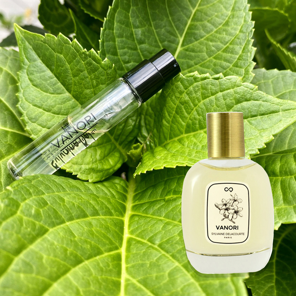 Vanori_陽光香草.jpg Vanori_陽光香草.jpg