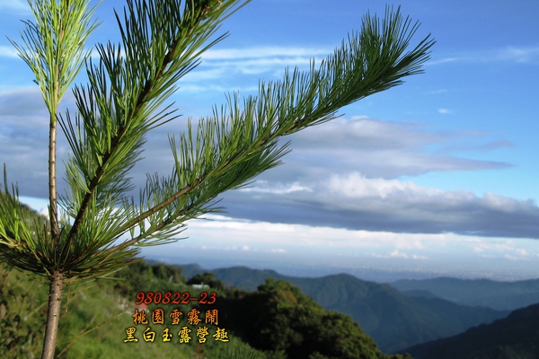 IMG_7965.jpg IMG_7965.jpg