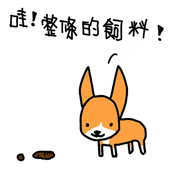 發現整條飼料示意圖.PNG