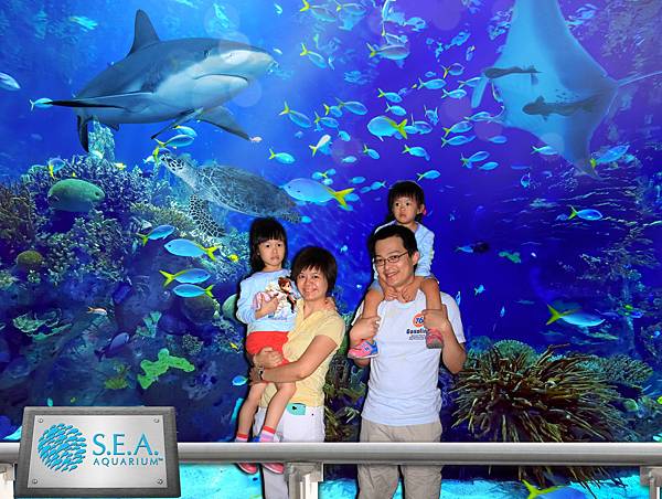 S.E.A. Aquarium Photo.jpg