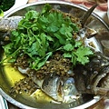 IMG_0673.JPG