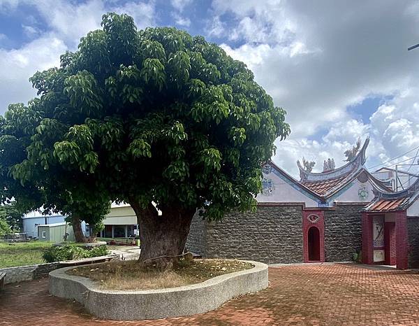 《長灘休閒飯店》美食和知性之旅(續) 19.jpeg 《長灘休閒飯店》美食和知性之旅(續) 19.jpeg