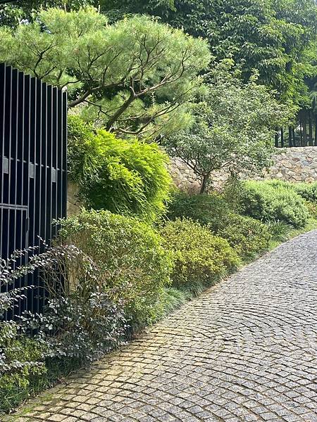 《寶元紀之丘》彰商第十九屆(55)忠班同學會 13.jpeg 《寶元紀之丘》彰商第十九屆(55)忠班同學會 13.jpeg