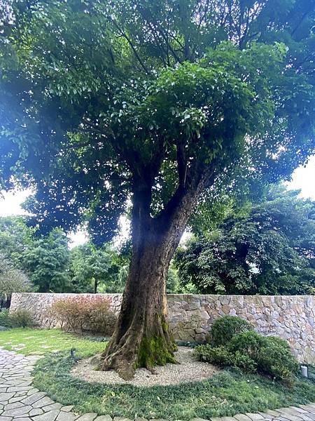 《寶元紀之丘》彰商第十九屆(55)忠班同學會 15.jpeg 《寶元紀之丘》彰商第十九屆(55)忠班同學會 15.jpeg