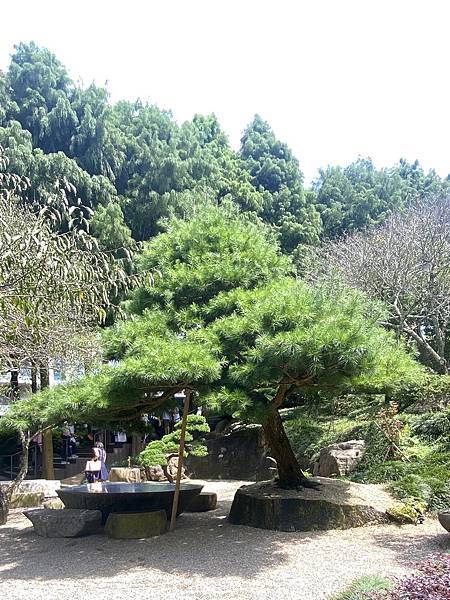 《寶元紀之丘》彰商第十九屆(55)忠班同學會 16.jpeg 《寶元紀之丘》彰商第十九屆(55)忠班同學會 16.jpeg