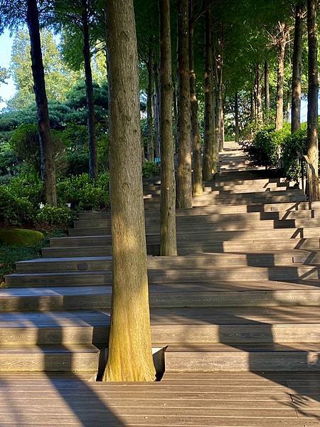 《寶元紀之丘》彰商第十九屆(55)忠班同學會 17.jpeg 《寶元紀之丘》彰商第十九屆(55)忠班同學會 17.jpeg