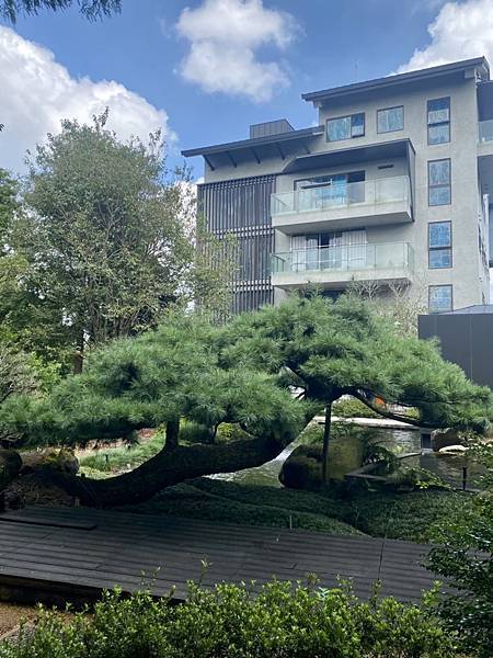 《寶元紀之丘》彰商第十九屆(55)忠班同學會 19.jpeg 《寶元紀之丘》彰商第十九屆(55)忠班同學會 19.jpeg