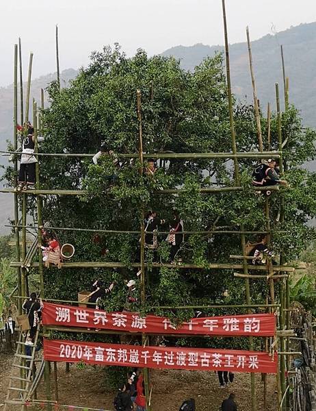 《寶元紀之丘》彰商第十九屆(55)忠班同學會 35.jpeg 《寶元紀之丘》彰商第十九屆(55)忠班同學會 35.jpeg