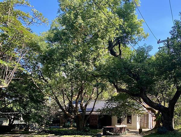 中秋節家族聚會 5.jpeg