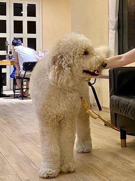 中秋節家族聚會 39.jpeg