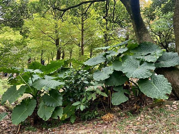 中秋節家族聚會 45.jpeg