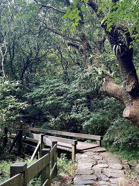 中秋節家族聚會 53.jpeg