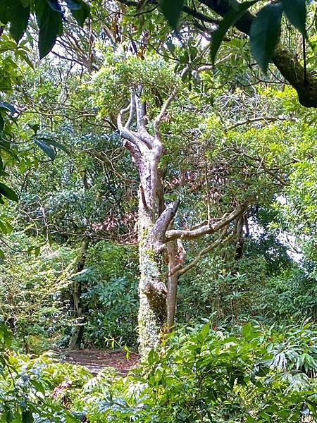 中秋節家族聚會 54.jpeg