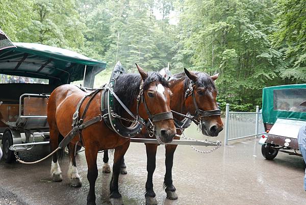 1080711_P05_新天鵝堡馬車下山_02.JPG