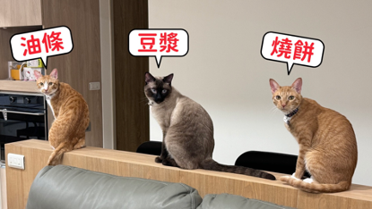 👍️【寵愛毛孩子】百分百新鮮食材製成的毛孩零食『寵心出發』-