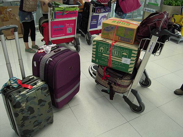 回程行李-我仍舊維持一只迷彩行李箱