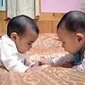 [2007.6.1] 兩個baby一起玩真是樂趣多多