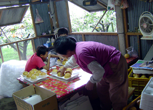 [2006.7.15 東勢叔公梨子園] 工寮一角