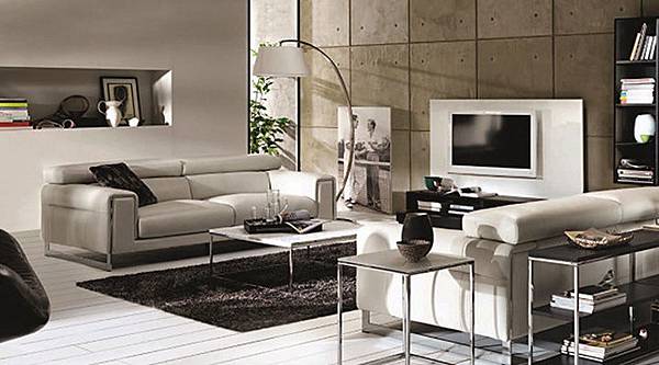 Natuzzi (Victoria Worldwide  Inc)1