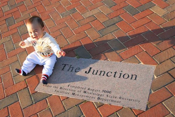 The Junction & little Oscar
