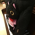 (售完)立體黑貓鋼琴琴袋 尺寸：40x28 cm (可放琴譜) 材質：絨毛布 售價：599元