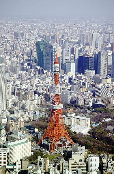 東京鐵塔。.jpg