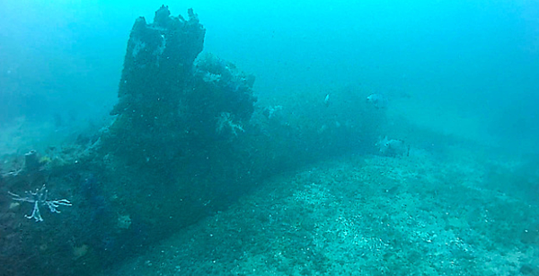 沉睡於須崎海域的「海龍」。.png 沉睡於須崎海域的「海龍」。.png