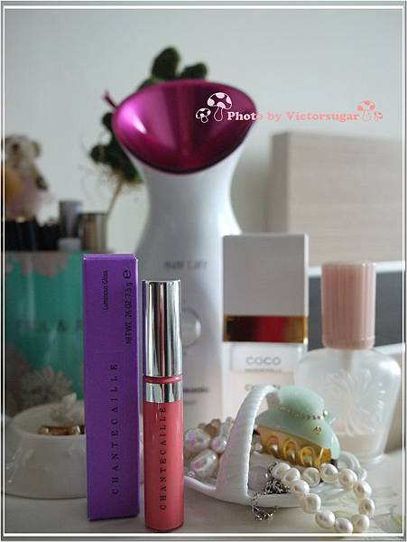 Chantecaille lip gloss cover