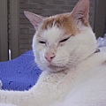 CIMG1556.JPG