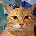 DSCN0914.JPG