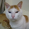 DSCN0462.JPG