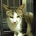 CIMG0176.JPG