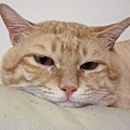 CIMG0109.JPG