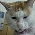 CIMG0505.JPG