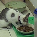 CIMG0445.JPG