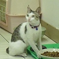 CIMG0454.JPG