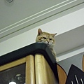 CIMG0502.JPG