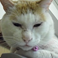 CIMG0506.JPG
