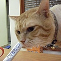 CIMG0456.JPG