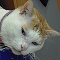 CIMG0568.JPG