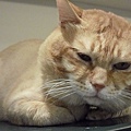 CIMG0648.JPG