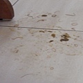 CIMG1549.JPG
